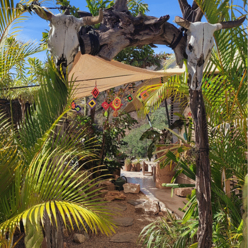 GoikxtSVIqayRWSUOLI6GaNQfITyjuysWVzj6V28